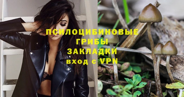 а пвп мука Арсеньев