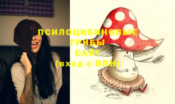 дурь Армянск