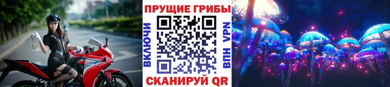 Псилоцибиновые грибы прущие грибы Балахна